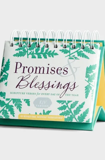 Promises & Blessings DayBrightener